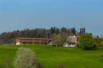 Hof Etter