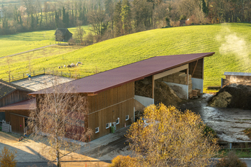 Kompostplatz, Pferdestall, Reitviereck und Weiden