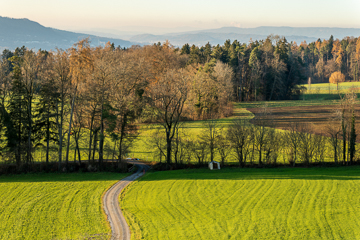 Landschwirtschaftliche Nutzflächen