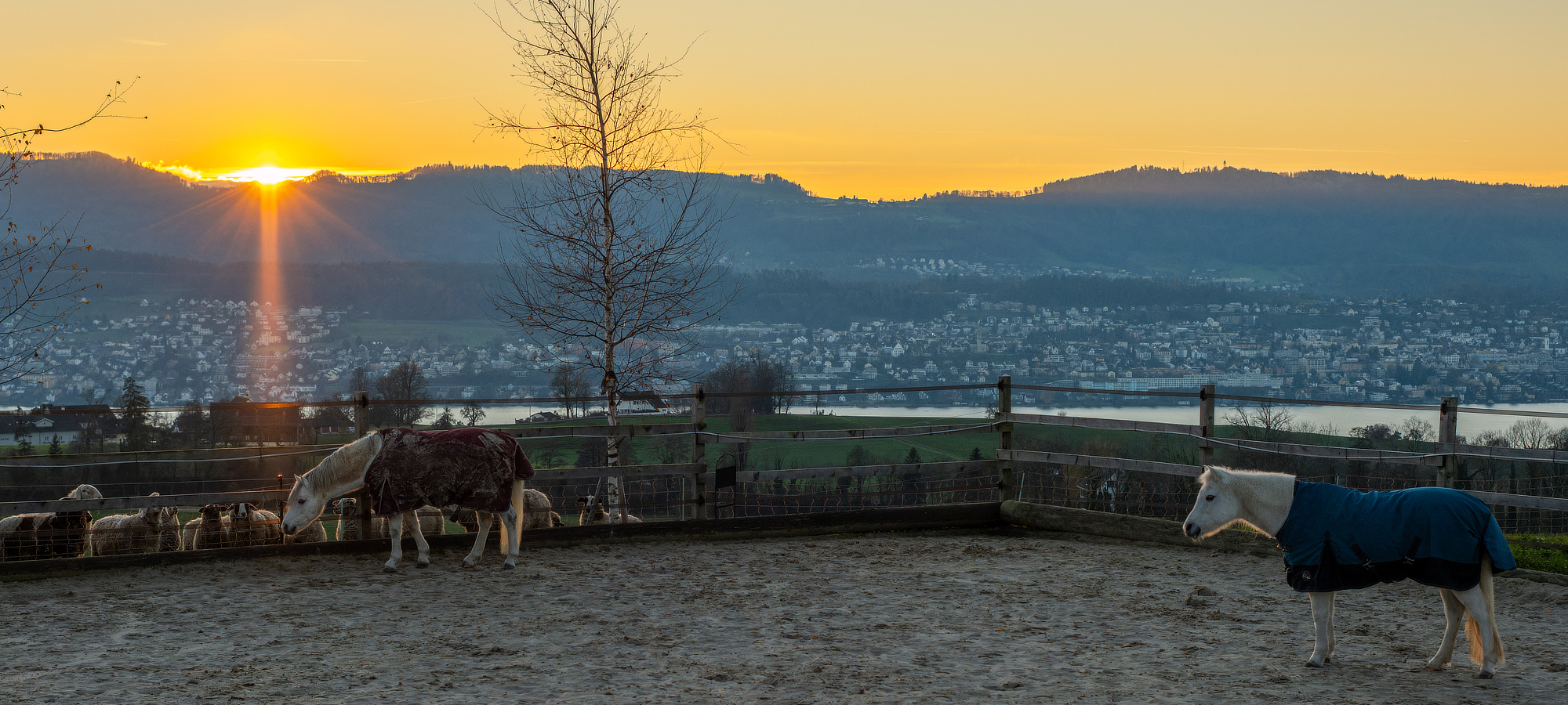 Reitplatz vom Hof Etter im Sonnenuntergang